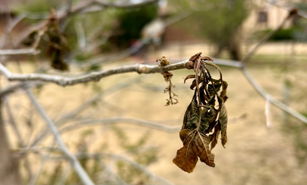 A Tale of Redemption — Part 1: The&nbsp;Harrowing